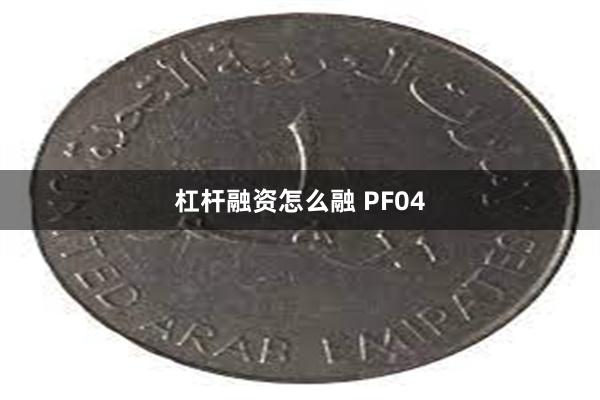 杠杆融资怎么融 PF04
