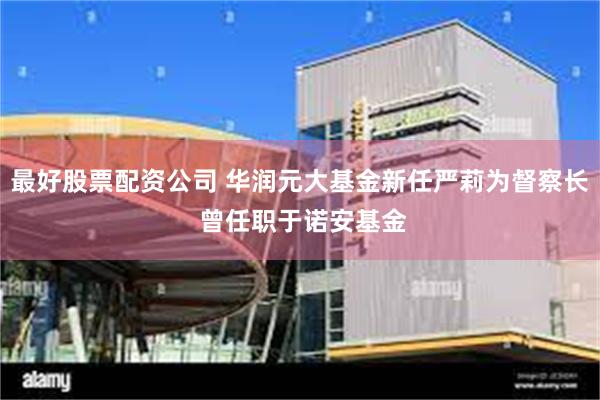 最好股票配资公司 华润元大基金新任严莉为督察长 曾任职于诺安基金