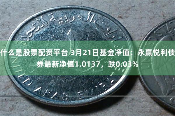 什么是股票配资平台 3月21日基金净值：永赢悦利债券最新净值1.0137，跌0.03%