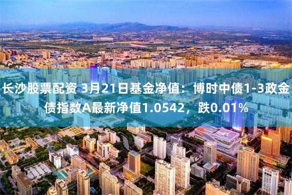 长沙股票配资 3月21日基金净值：博时中债1-3政金债指数A最新净值1.0542，跌0.01%