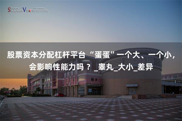 股票资本分配杠杆平台 “蛋蛋”一个大、一个小，会影响性能力吗 ？_睾丸_大小_差异