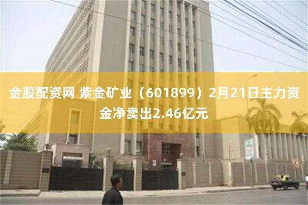 金股配资网 紫金矿业（601899）2月21日主力资金净卖出2.46亿元