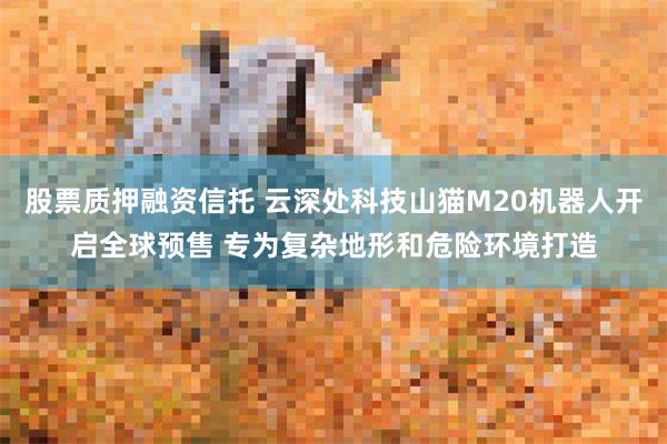 股票质押融资信托 云深处科技山猫M20机器人开启全球预售 专为复杂地形和危险环境打造