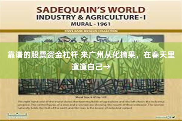靠谱的股票资金杠杆 来广州从化摘果，在春天里遛遛自己→