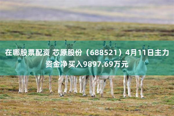 在哪股票配资 芯原股份（688521）4月11日主力资金净买入9897.69万元