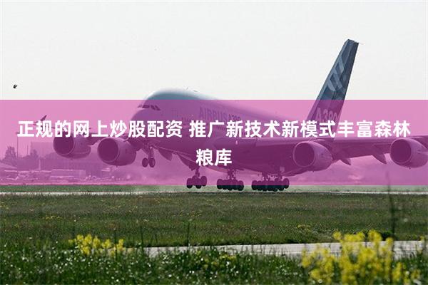 正规的网上炒股配资 推广新技术新模式丰富森林粮库
