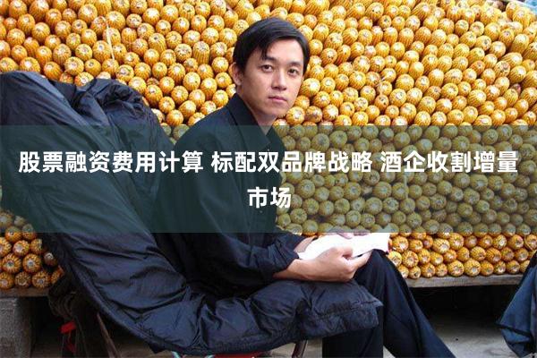 股票融资费用计算 标配双品牌战略 酒企收割增量市场