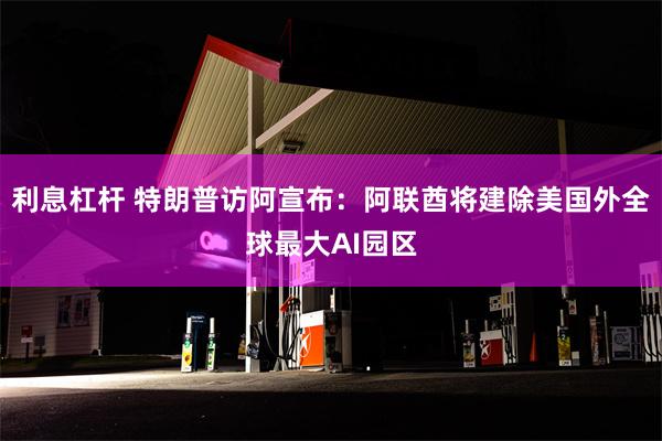 利息杠杆 特朗普访阿宣布：阿联酋将建除美国外全球最大AI园区