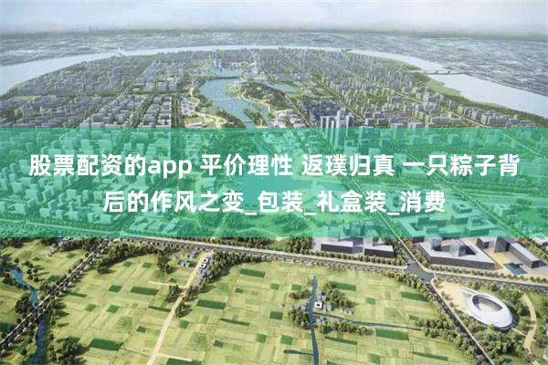 股票配资的app 平价理性 返璞归真 一只粽子背后的作风之变_包装_礼盒装_消费