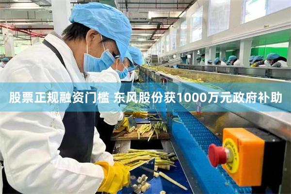 股票正规融资门槛 东风股份获1000万元政府补助