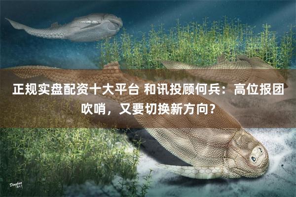 正规实盘配资十大平台 和讯投顾何兵：高位报团吹哨，又要切换新方向？