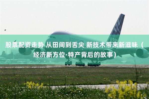 股票配资走势 从田间到舌尖 新技术带来新滋味（经济新方位·特产背后的故事）