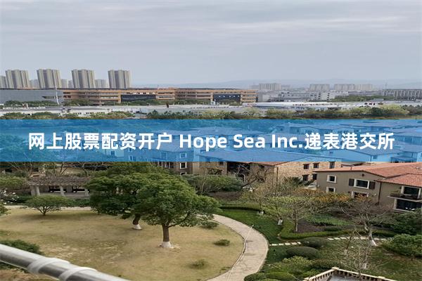 网上股票配资开户 Hope Sea Inc.递表港交所