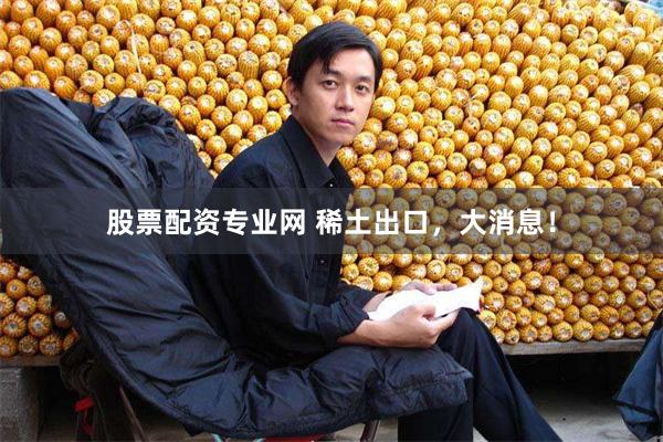 股票配资专业网 稀土出口，大消息！