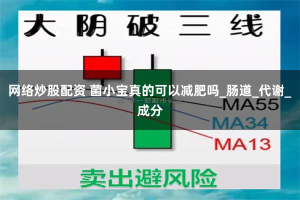 网络炒股配资 菌小宝真的可以减肥吗_肠道_代谢_成分