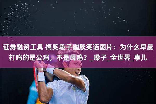 证券融资工具 搞笑段子幽默笑话图片：为什么早晨打鸣的是公鸡，不是母鸡？_嗓子_全世界_事儿