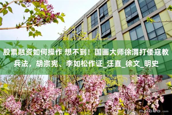 股票融资如何操作 想不到！国画大师徐渭打倭寇教兵法，胡宗宪、李如松作证_汪直_徐文_明史